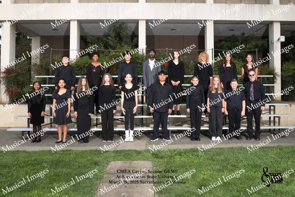 Musical Images